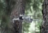 DJI Mini 4 Pro in a forward flight posture over a green forest
